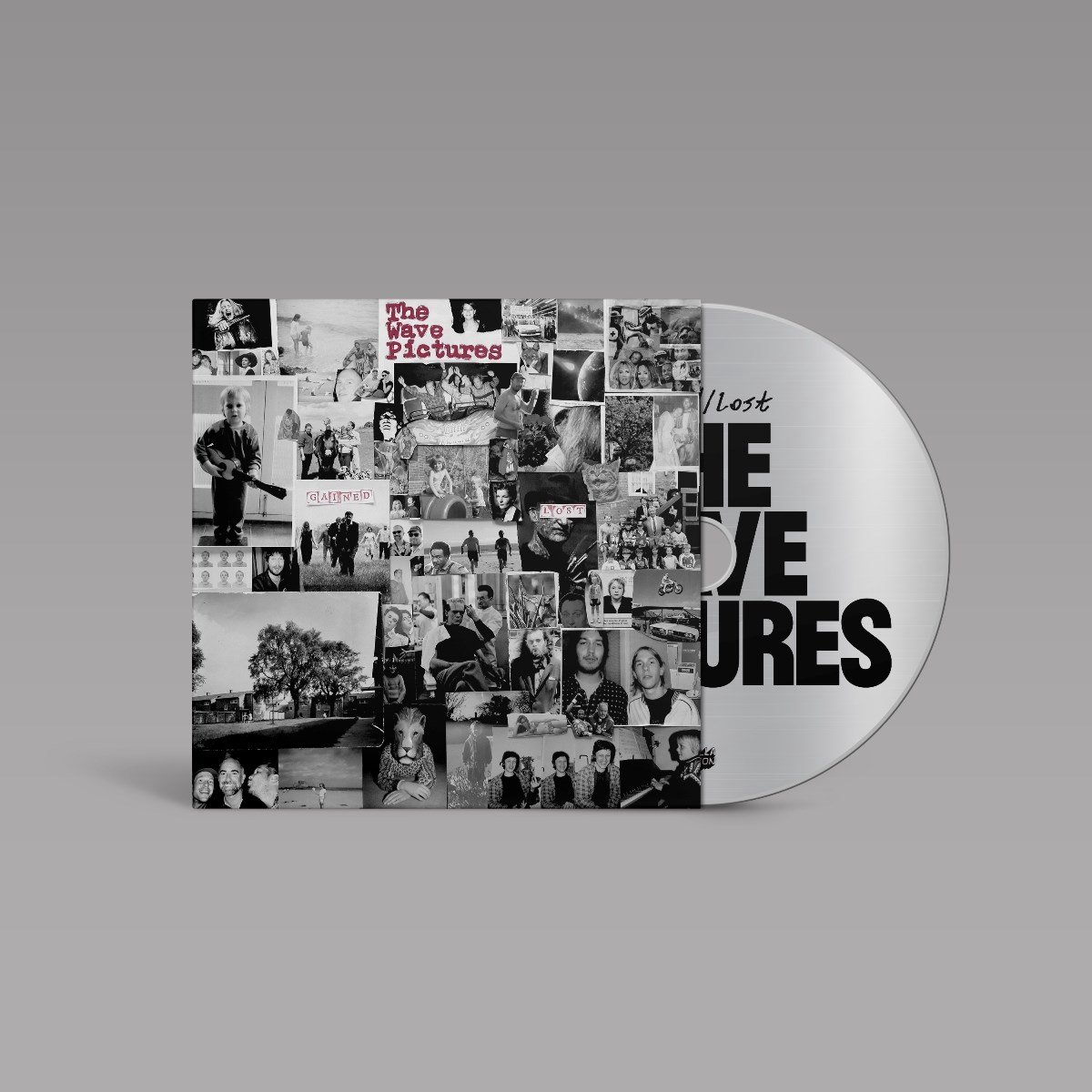 The Wave Pictures - Gained-Lost (LP)