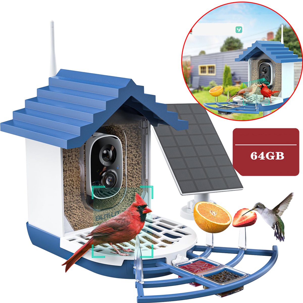 Vogelhuisje met Camera – Live Vogels Spotten via je Smartphone - Slim Vogelvoederhuisje met AI‑Herkenning – 2K FULL HD & Kleur‑Nachtzicht – Zonnepaneel & Draadloos – Cadeau voor Natuurliefhebbers - 64GB KAART