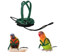 Sleepkabel - Papegaaienlaan - Vogelvlucht Touw - Verstelbaar vlucht trainingstouw - Geschikt voor papegaaien - Dwergpapegaaien - Valkparkieten - Groen