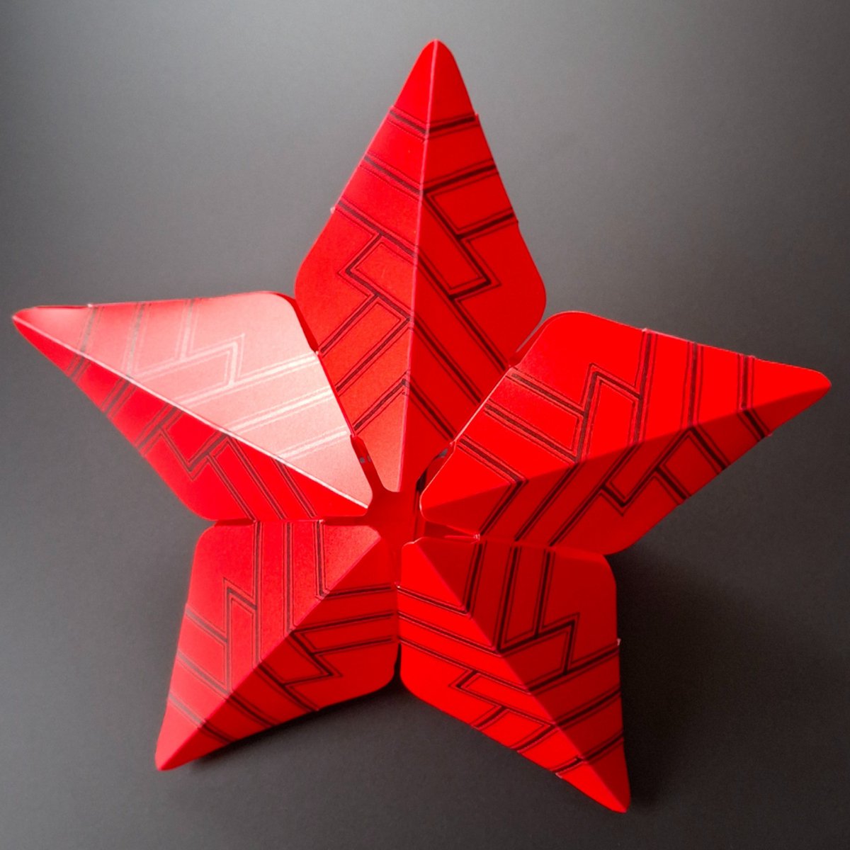 Sheedz lamp kerstster rood - creatieve lampenomhulsel decoratie.