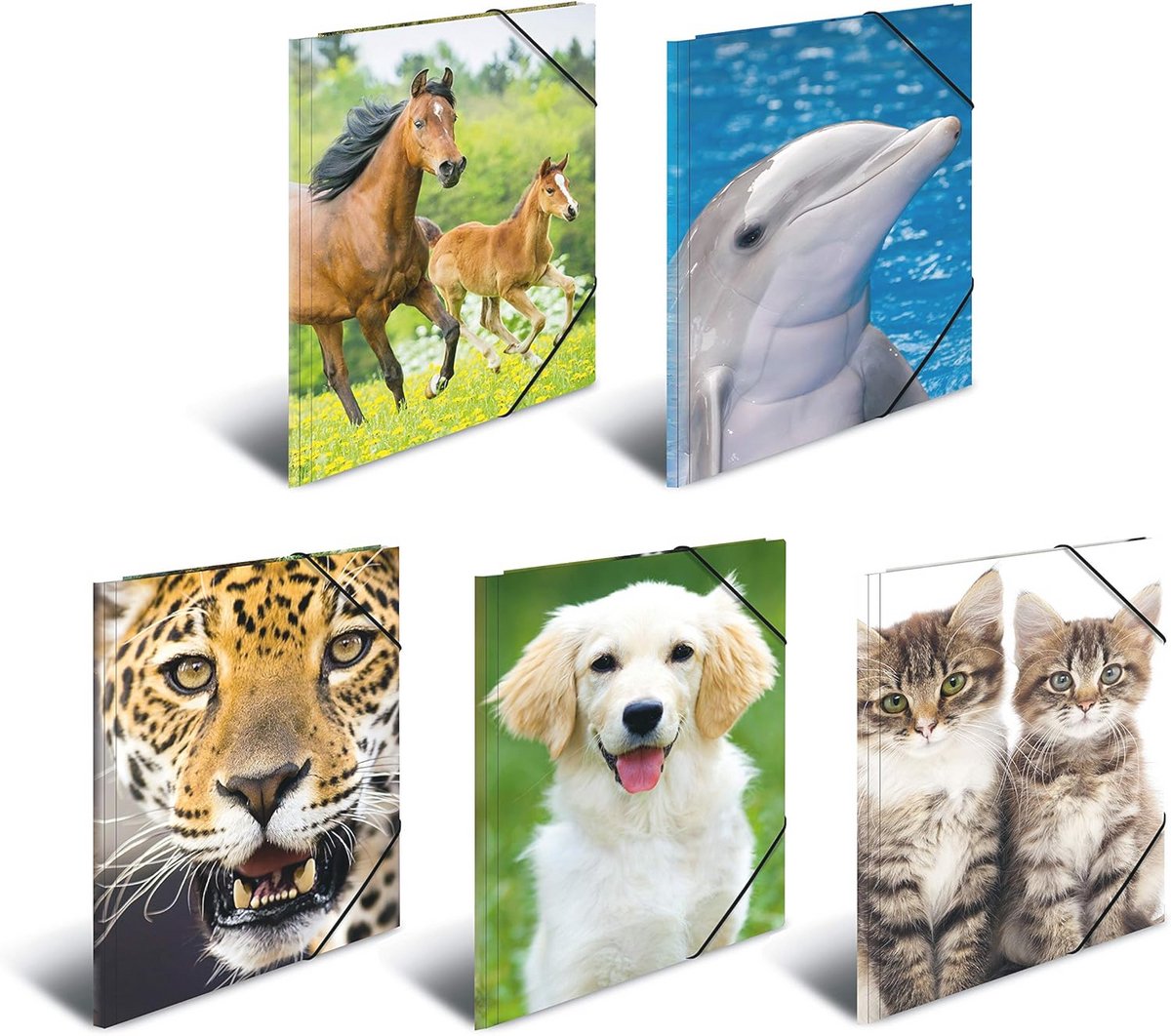 Set van 10 A4 verzamelmappen met diermotief voor jongens en meisjes