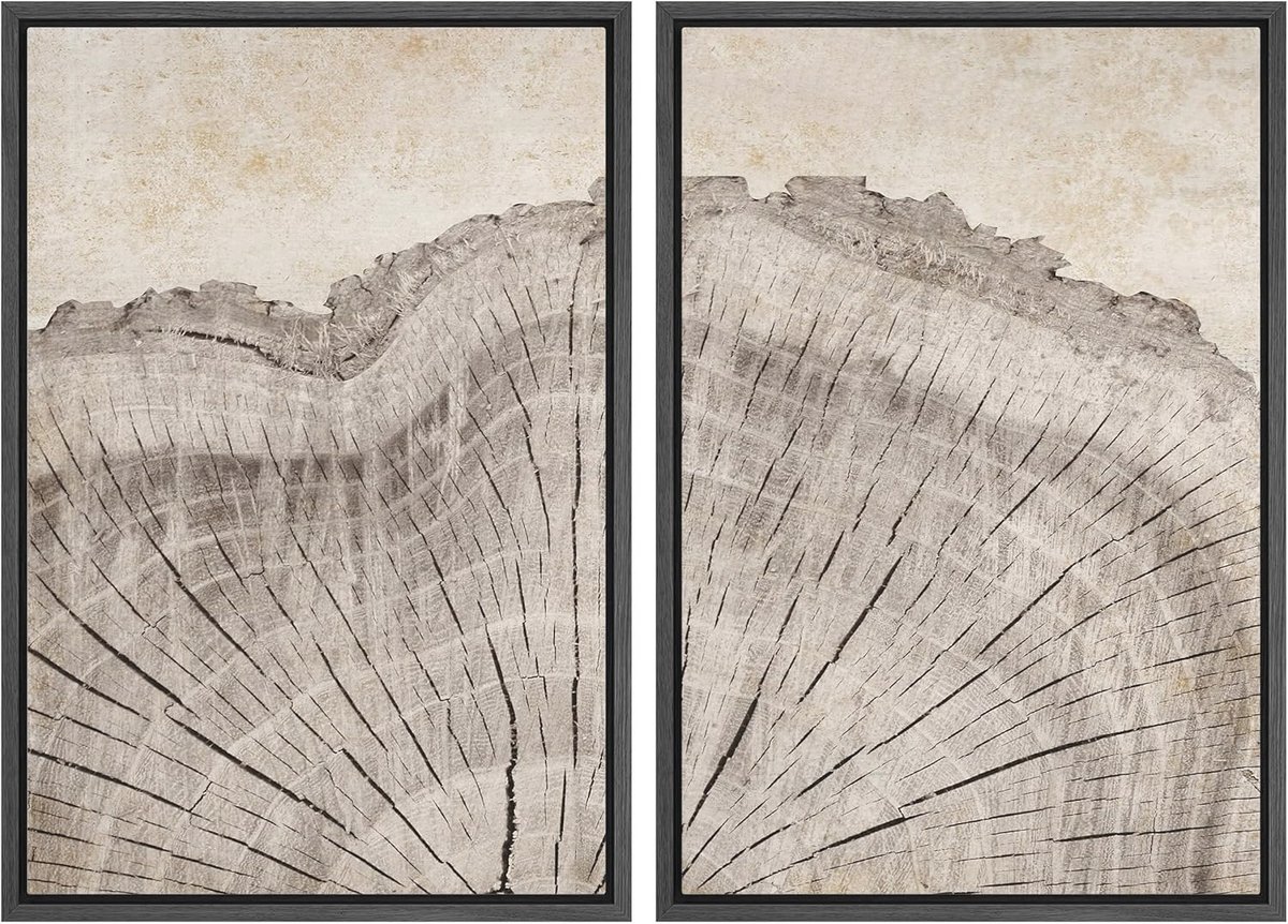 Ingelijste canvas print muurkunst natuur illustratie eiken hout boom ringen geometrisch voor slaapkamer 61 cm x 36 cm x 2 zwart