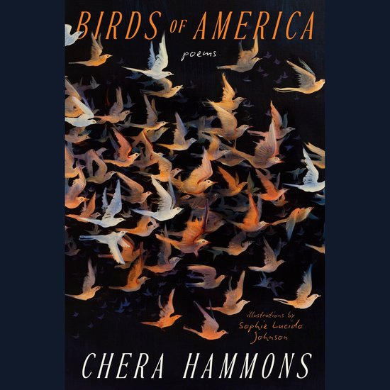 Birds of America - cover