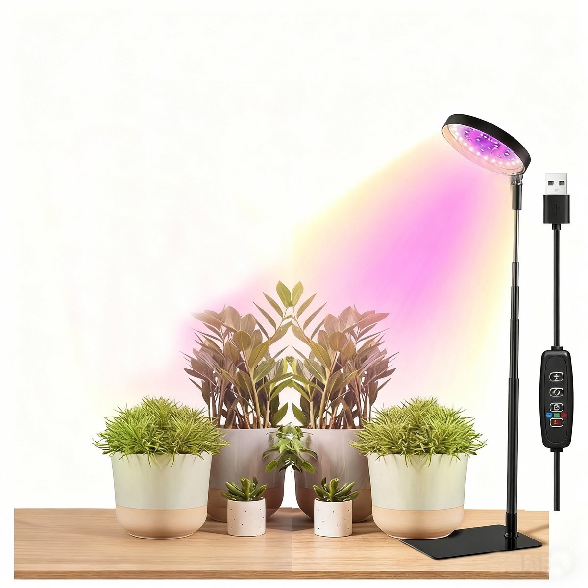 Groeilamp-groeilamp planten-LED Rising Plant Light - Angel Ring Succulent Rood, Blauw, Warm Licht - Full Spectrum Bloem- en Groene Plant Supplement Licht - Zwart - 19x14x2 cm