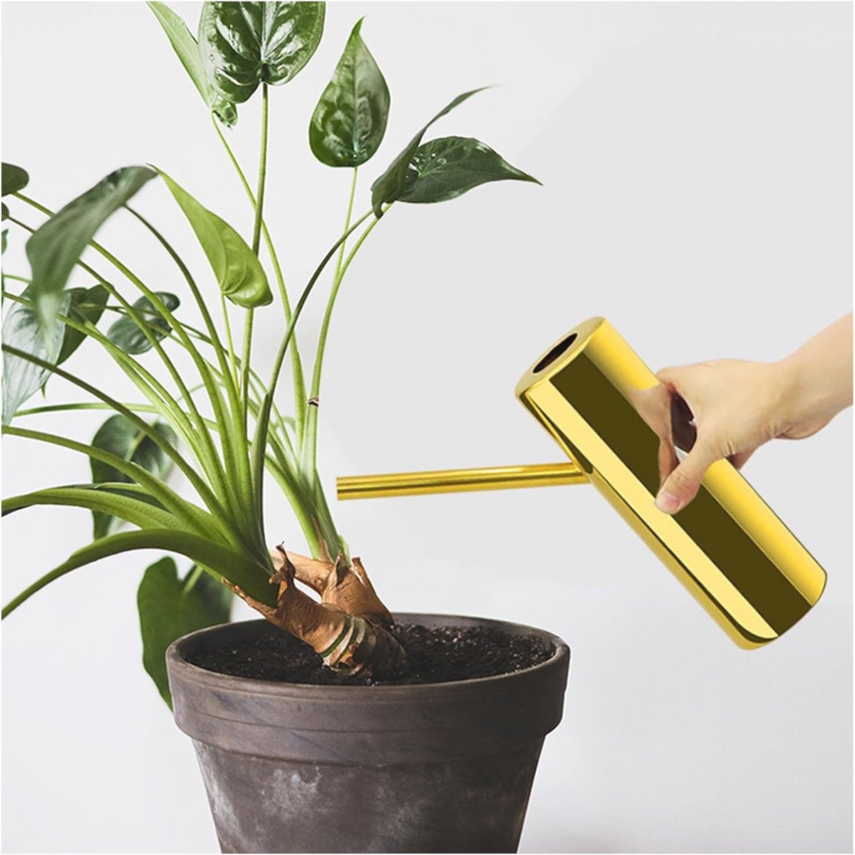 Roestvrijstalen gieter 1,1 l - elegante mini gieter voor kamerplanten en tuin
