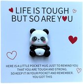 Câlin de poche - Panda - Cœur - Amour - Achat chanceux - Câlin - Amitié - Life - Geluk - Amour - Ours panda