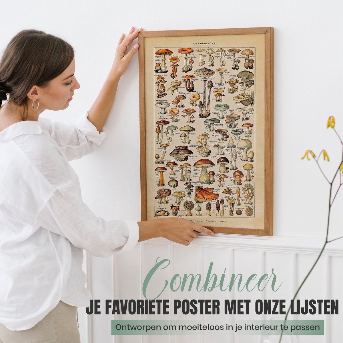 Fotowand Vintage Zeedieren - Kreeft & Schelpen - Poster Set van 3 - 70x50 cm - Botanisch - Art Prints - Natuur Schoolplaat — cadeau in Wonen & Interieur - foto 8