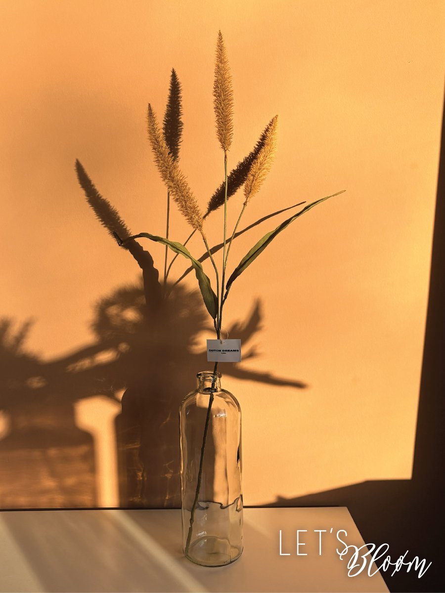 Let's Bloøm | Zijden bloem | kunst pluim | Gras tak | Pluimgras | 1, 3 of 5 stuks | Kunst tak | Zijden tak | Graspluim | Bruin | Kunsttak | Pampusgras | Herfst | Lampepoetsersgras | Pennisetum |