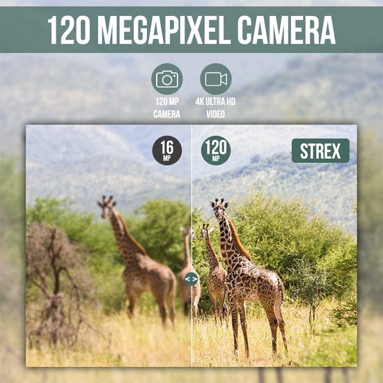 Wildcamera