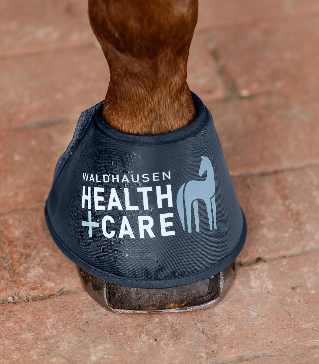 WALDHAUSEN HEALTH + CARE WATER SPRINGSCHOENEN, PER PAAR Blauw