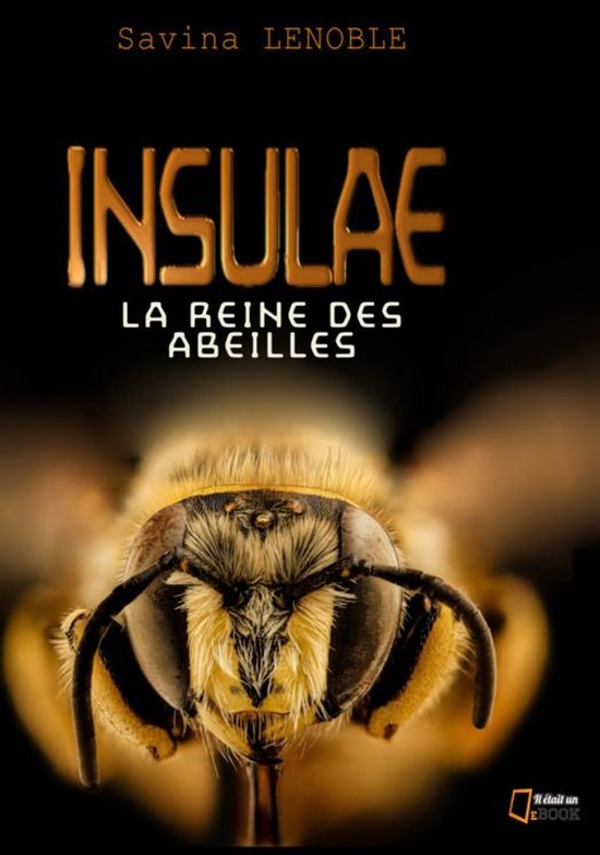 Insulae 1 - Insulae tome 1
