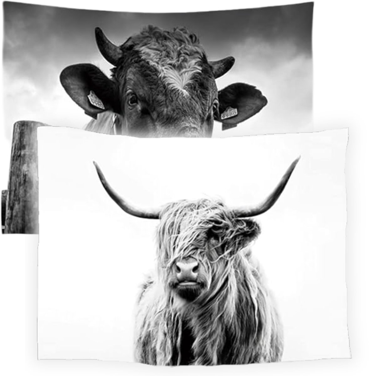 Ulticool Wandkleed Set van 2 – Schotste Hooglander Koe Zwart Wit – Met Bevestigingspinnen - voor Binnen - Aesthetic Room Decor Wandtapijt Decoratie Poster Boho Wanddoek