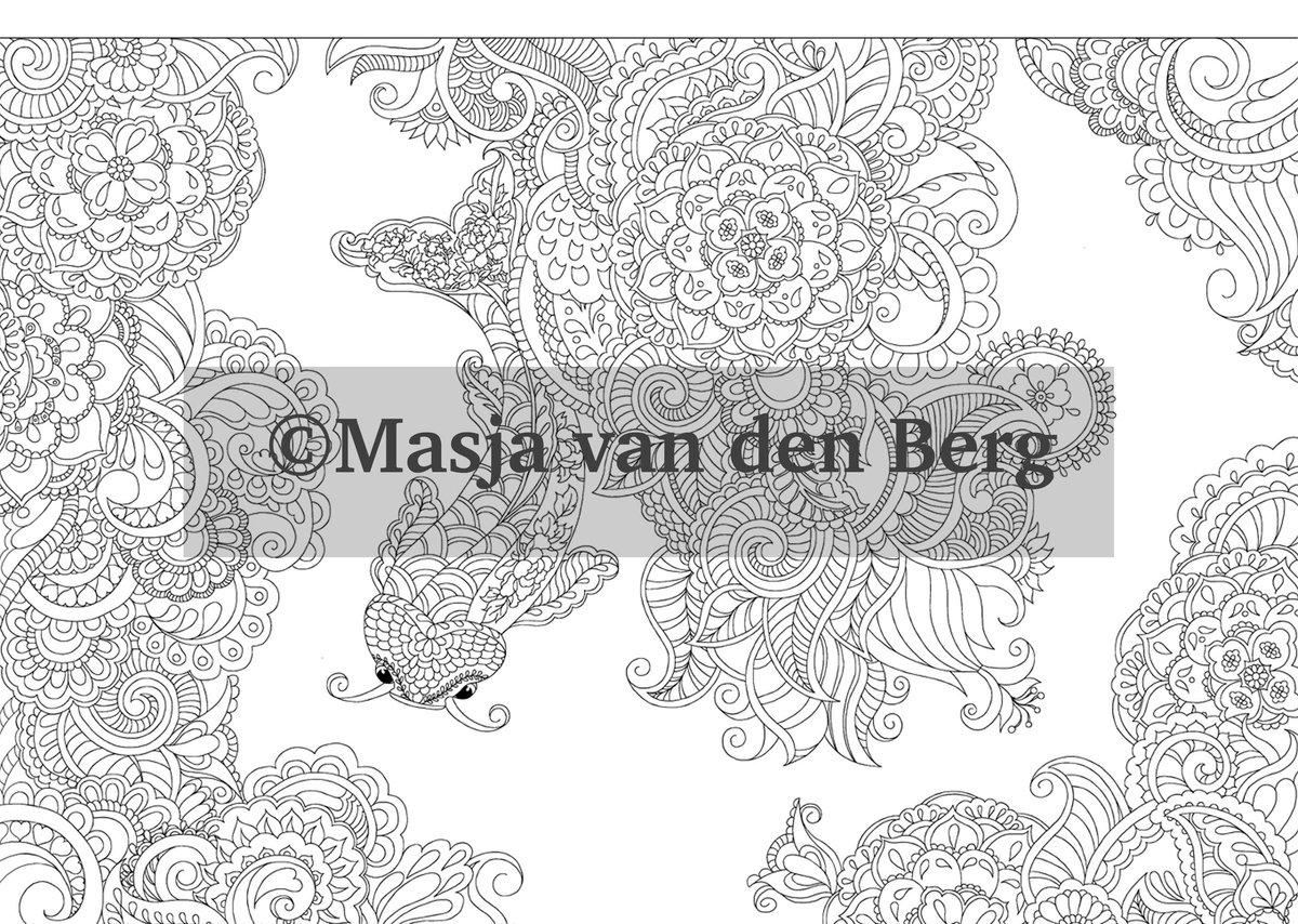 Masja van den Berg - Mijn wonderlijke wereld THE BEST OF - kleurboek - kleuren voor volwassenen -dieren — afbeelding 2