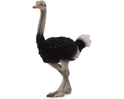 Collecta Struisvogel Wilde Dieren Figuur