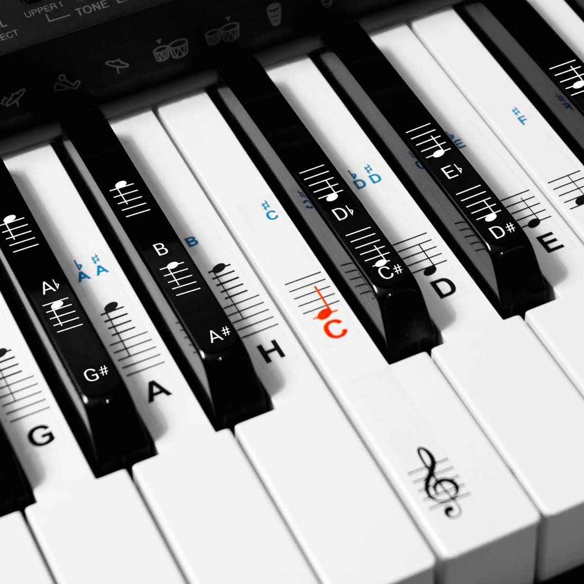 Muziekstickers voor Piano en Keyboard - Leer Muzieknoten Makkelijk - Geschikt voor 49, 61, 76, 88 Toetsen - Voor Witte en Zwarte Toetsen