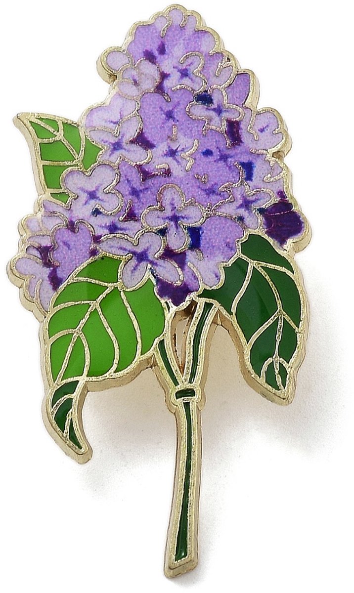 Pin paarse bloemen, blauwe regen, emaille pin, broche, kledingspeld
