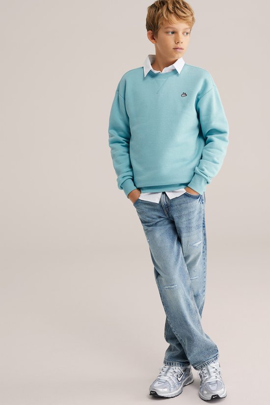 WE Fashion Jongens regular fit sweater