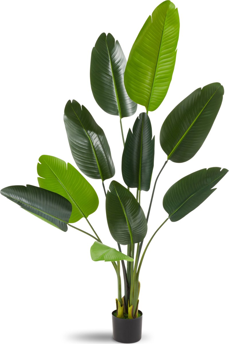 Tectake Kunstmatige Paradijsvogelboom Tropic - Strelitzia - Natuurgetrouwe Kunstplant met Gedetailleerde Bladeren en Stevige Bloempot – Onderhoudsvriendelijk en Veelzijdig - Hoogte: 160 cm