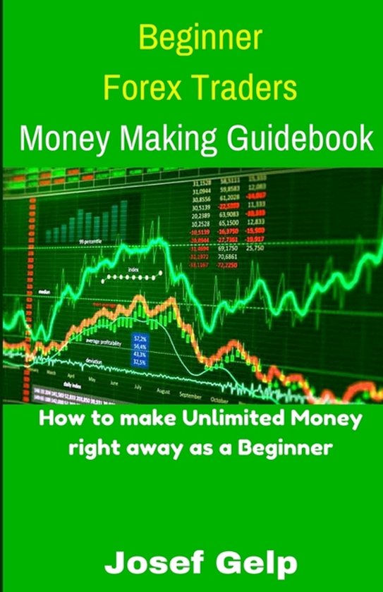 Beginner Forex Traders Money Making Guidebook - cover