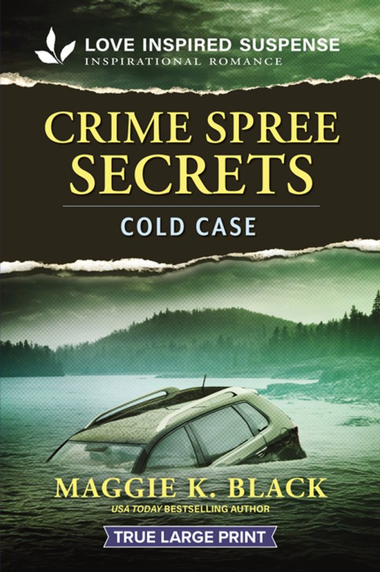 Unsolved Case Files- Crime Spree Secrets - cover
