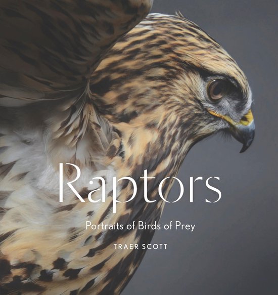 Raptors - cover