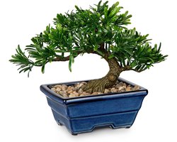 Artificial Bonsai Tree for Desk