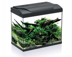 HS Aqua Aquarium Platy 30 LED | 30L | 39 x 22 x 36CM Zwart Compleet