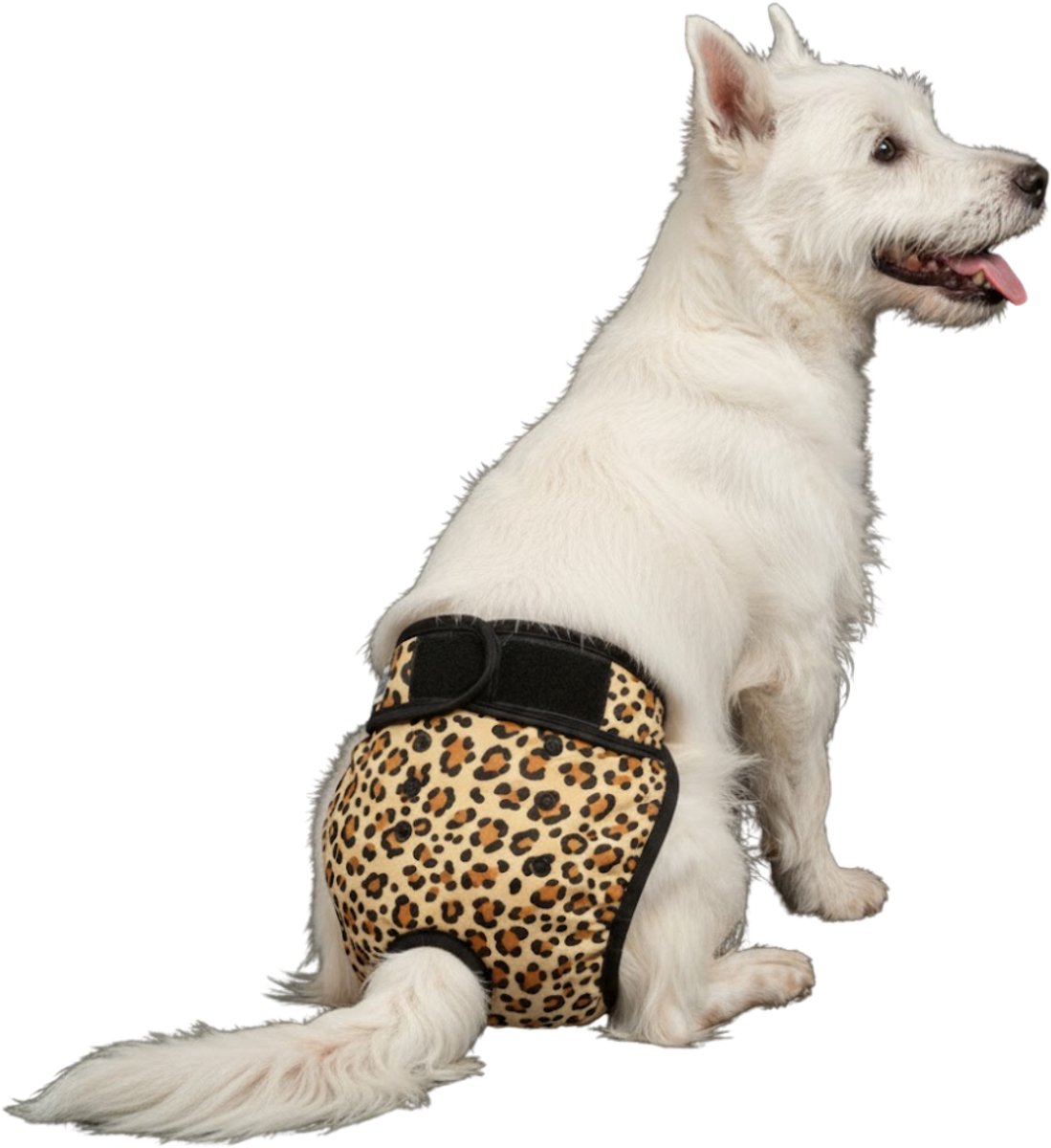 Sharon B Loopsheidbroekje hond - Luipaard - Maat M - Wasbaar - Taille: 28-33 cm - Bij incontinentie en loopsheid