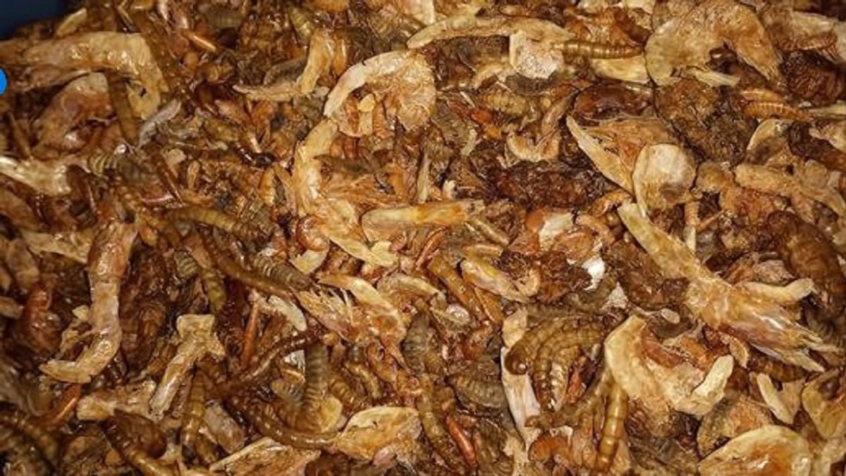 Natuurmix (10 liter emmer)