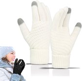 Warme Waterdichte Winterhandschoenen met Touchscreen voor Skiën en Buitenactiviteiten