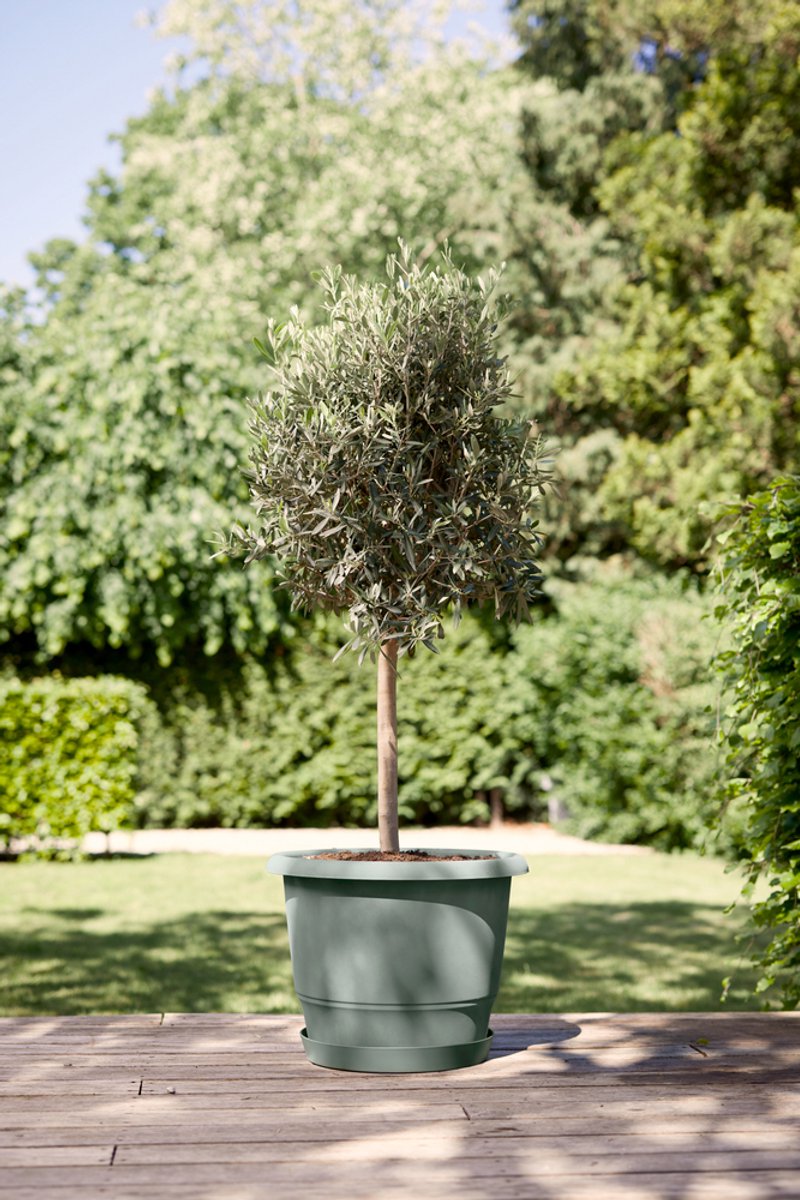 Elho Amiga Rond 55 - Grand pot de fleurs pour intérieur et extérieur