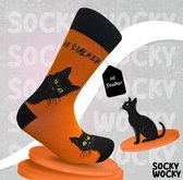 HI STALKER - KATTEN - CATS - SOKKEN - 2 Pack - Grappige Sokken voor Mannen & Vrouwen - SMALL SHOE (36-40) Socks - Humorvolle Huissokken - Verjaardagscadeau - Geschenk voor Heren, Dames, Vader, Moeder, Vriendin, Zus, Oma - Cadeau SOCKY WOCKY