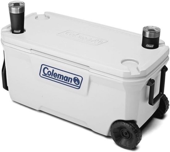High-performance passieve koelbox tot 90 liter met UV-bescherming voor optimaal behoud van voedsel en drinken — afbeelding 3