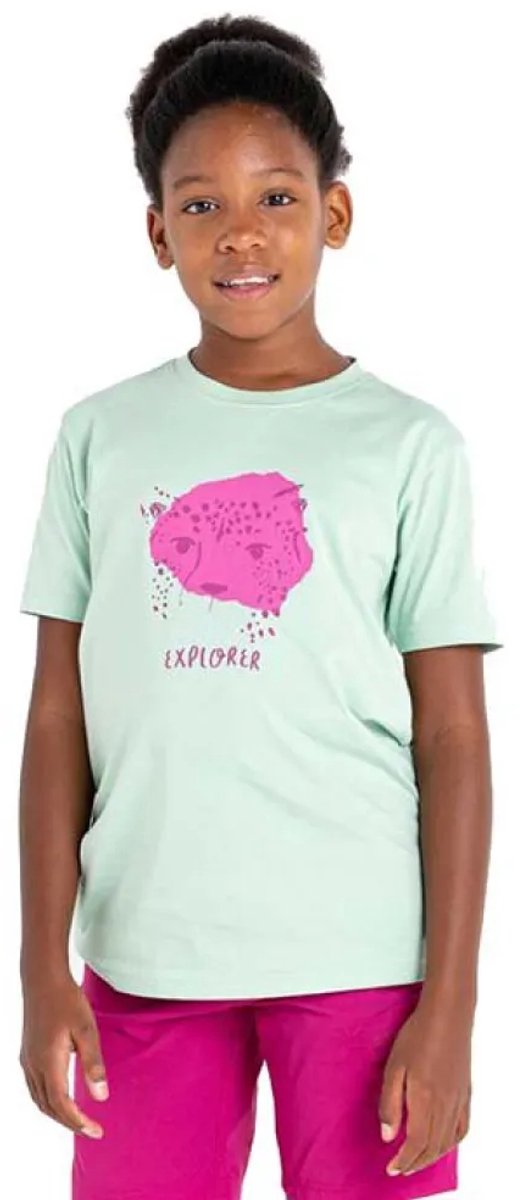 Dare2b Trailblazer T-shirt Met Korte Mouwen 9-10 Years Jongen Grayed Jade