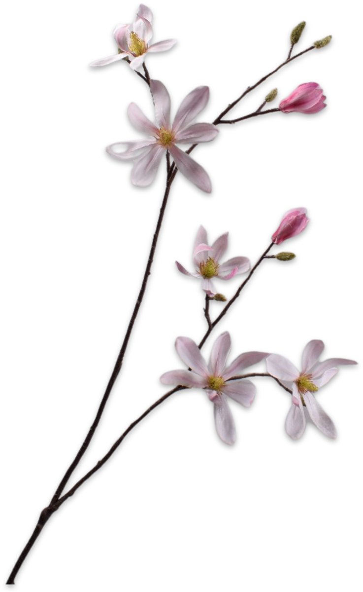 Silk-ka Kunstbloem - wit - H100 cm