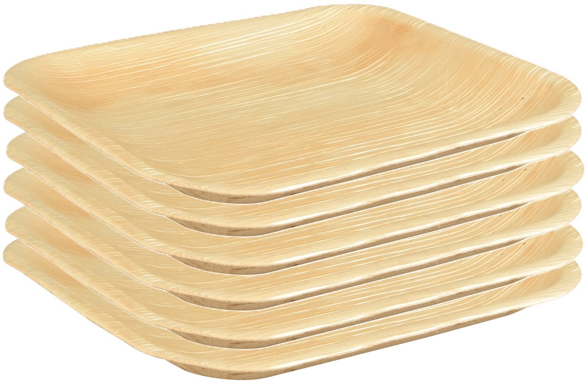 Papstar Pure wegwerp servies borden - 6x stuks - vierkant - 18 cm - biologisch afbreekbaar - bbq/verjaardag