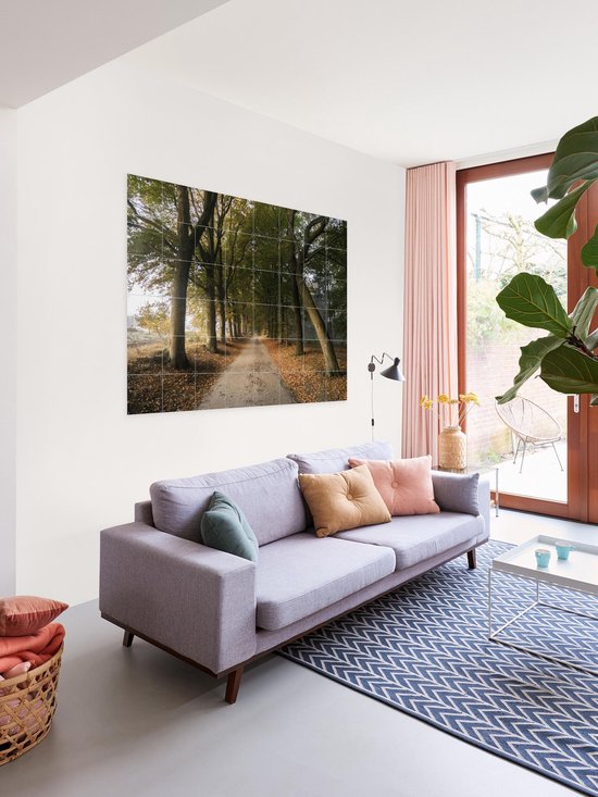 IXXI Autumn Forest Lane, Claire Droppert - 80 x 60 cm - Support d'accrochage gratuit - Grande décoration murale et posters - Réalisme, Photographie, Naturalisme