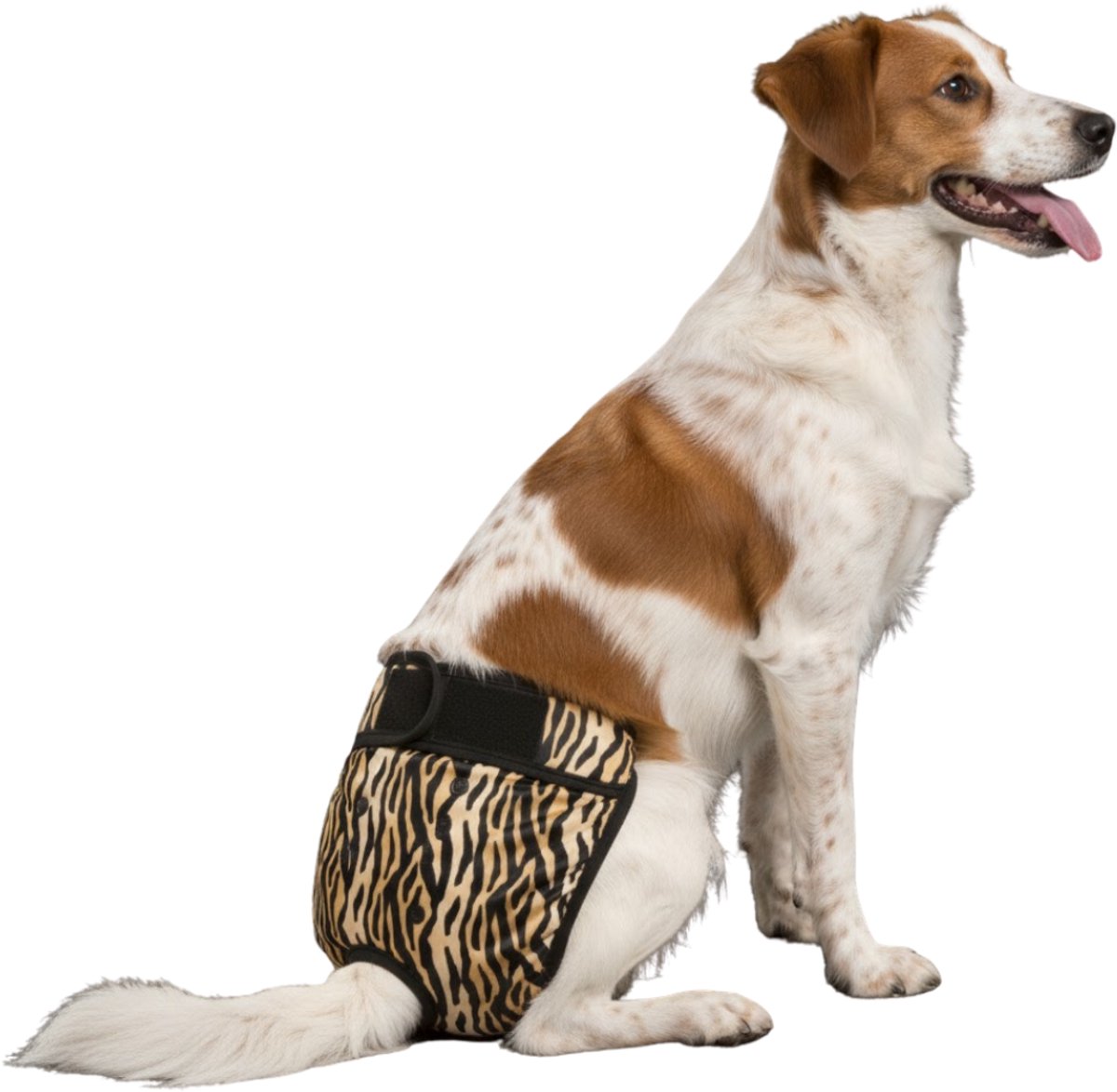 Loopsheidbroekje hond Tijgerprint Maat L - Herbruikbaar - Hondenbroekje - Hondenluier - Bij loopsheid en incontinentie - Perfecte pasvorm - Taille 36-46 cm