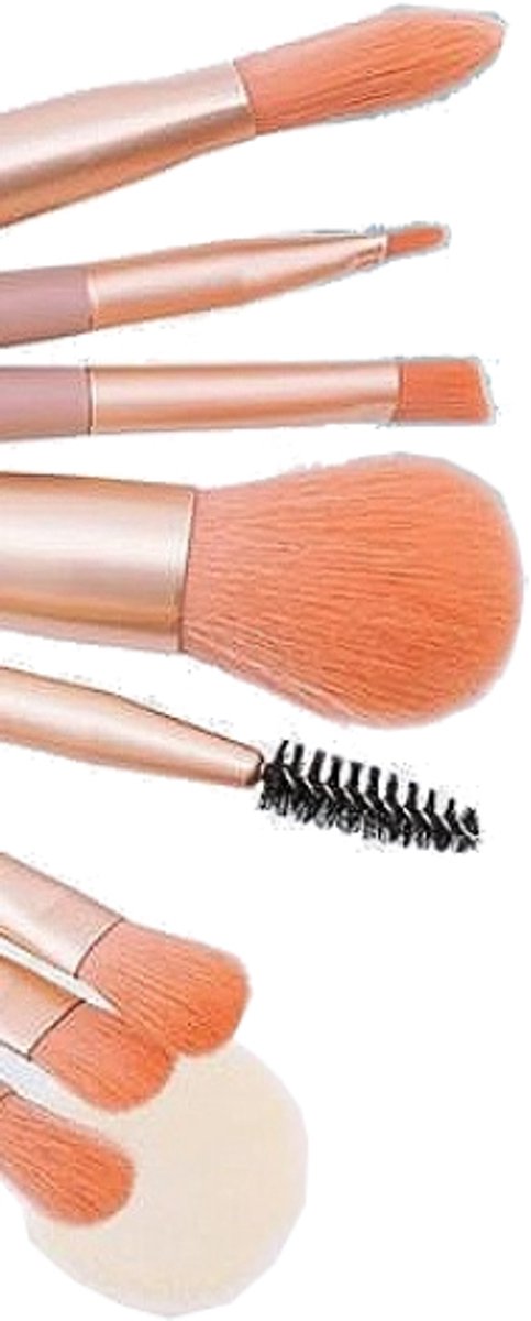 Bodybite - Make-Up Kwasten Set - 8 Stuks - Foundation - Oogschaduw - Poeder - Blush - Zachte Synthetische Haren - Professioneel - BRUSHIES