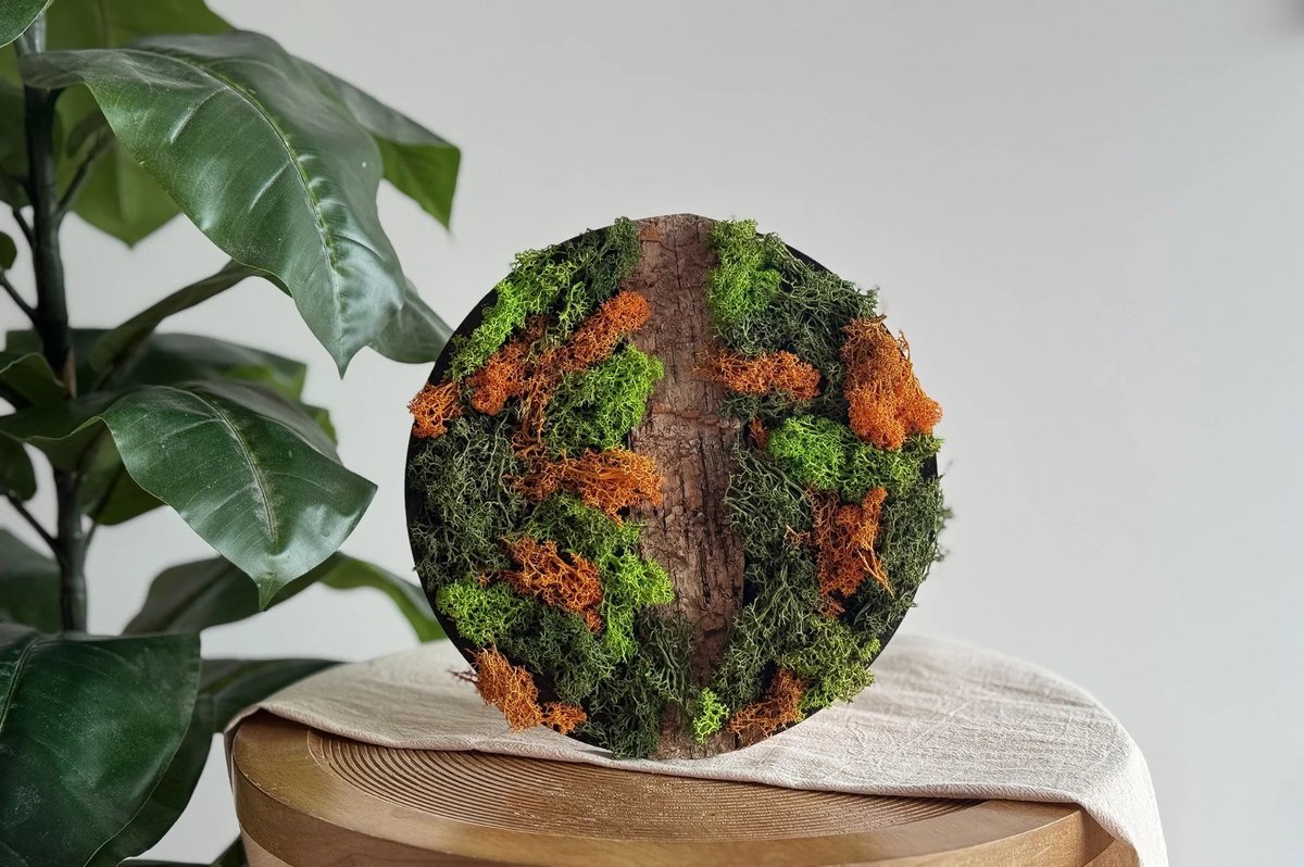 DIY Pakket Mos Schilderij Oranje