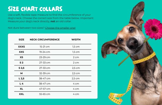 DWAM Dog with a Mission – Collier pour chien – Collier pour chien – Rose – XXS – Cuir – Tour de cou entre 19-24 x 2 cm – Sweety