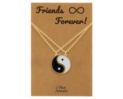 BFF Ketting voor 2 ' Friends Forever' - Magnetische Yin Yang - Vriendschapsketting op Cadeau Kaartje - 45cm + 5cm verstelbaar - Goudkleurig - Best Friends Hanger - Pax Amare