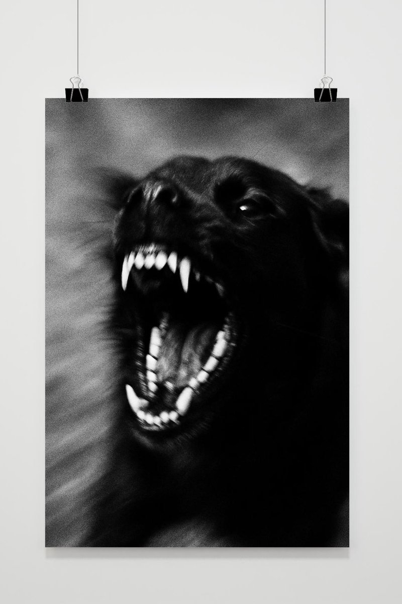 Zwarte Hond Poster - Dieren Posters - Tanden - Zwart Wit - Wazig - Wanddecoratie Woonkamer