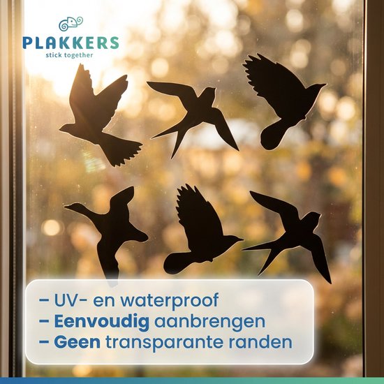 Zes zwarte vogels, waaronder zwaluwen en een eend, vliegen in de zon op een raam.