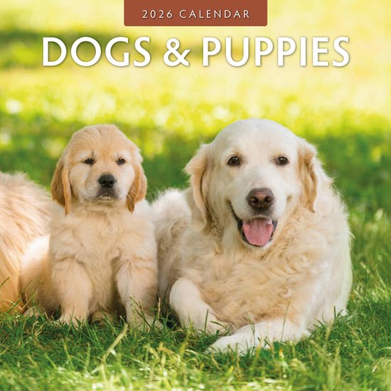Calendrier Chiens et Chiots 2026