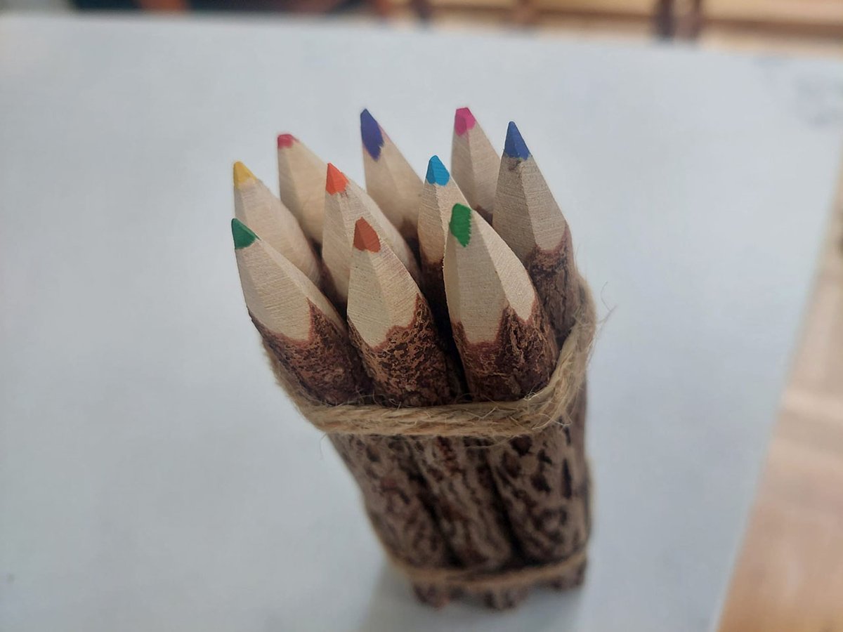 Floz Design kleurpotloden met schors - set van 10 - educatief schoencadeau