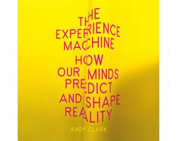 The Experience Machine
