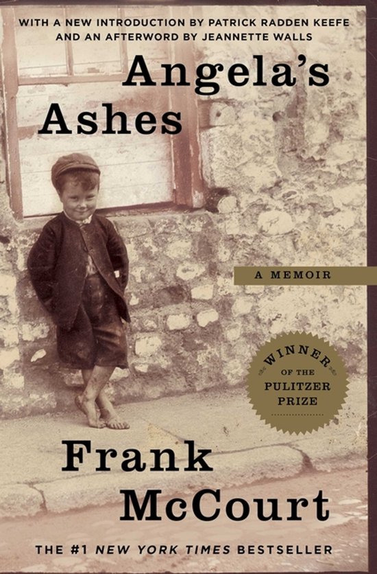 Angela's Ashes - cover