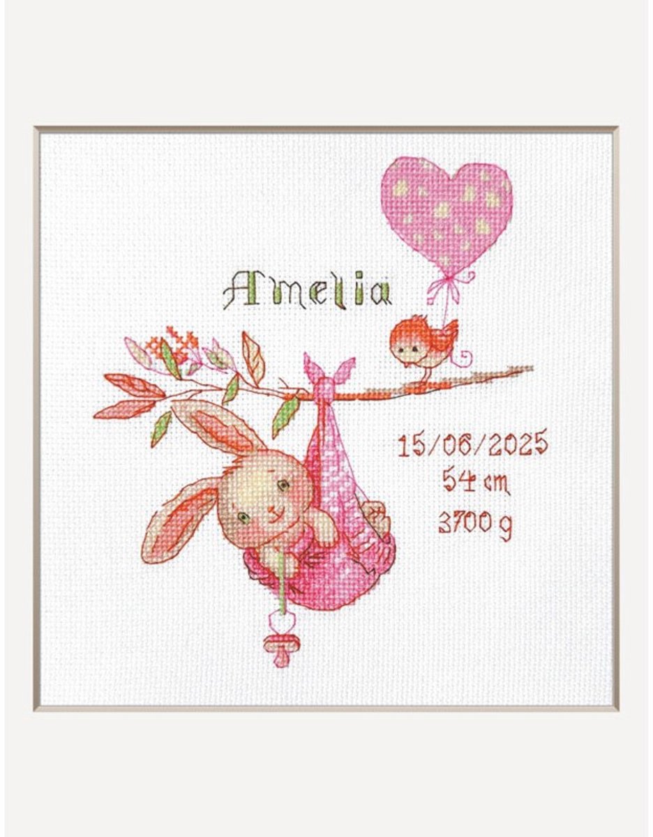 Girl Birth Sampler aida borduurpakket om te tellen Aine A1029