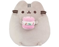 Knuffel Pluche | Pusheen with Ice Cream Sandwich | Knuffel | 24 cm | met een Broodje IJs | Grijs Roze Zwart Bruin Geel Wit Blauw